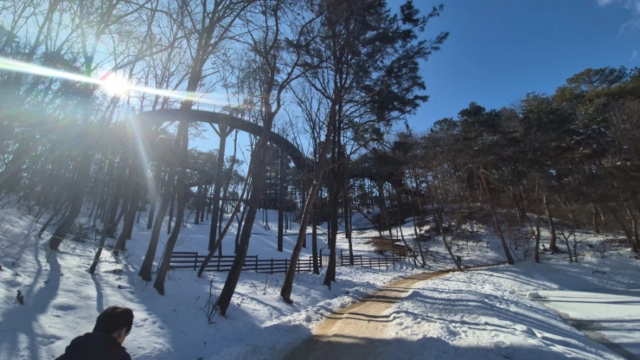 900%EF%BC%BF20250209%EF%BC%BF144941.jpg?type=w1