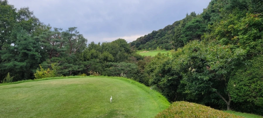 20241003%EF%BC%BF150538.jpg?type=w966