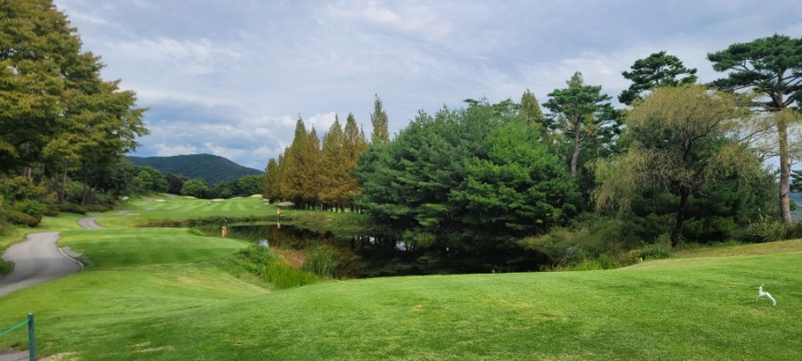 20241003%EF%BC%BF133636.jpg?type=w966