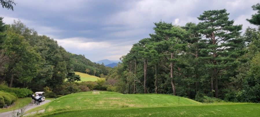 20241003%EF%BC%BF160006.jpg?type=w966