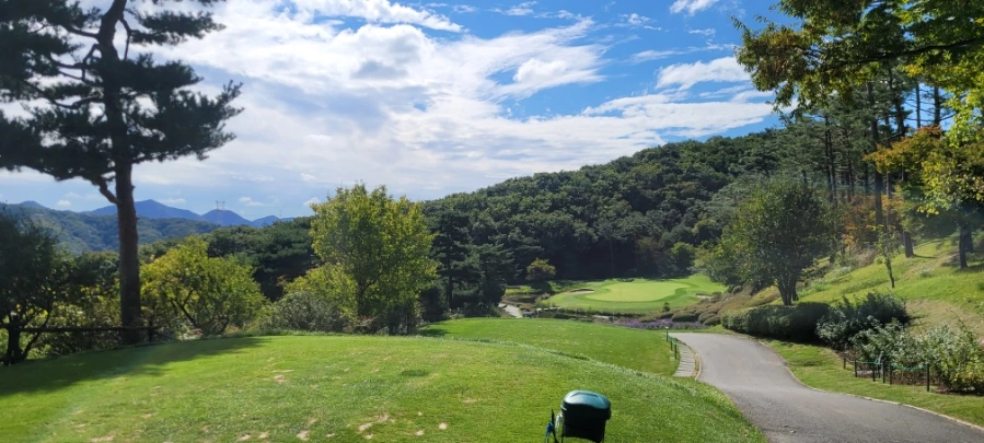 20241003%EF%BC%BF122639.jpg?type=w966