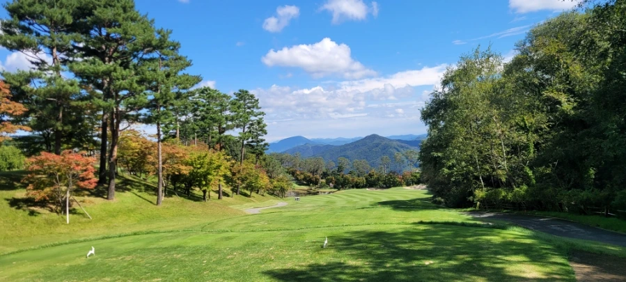 20241003%EF%BC%BF120730.jpg?type=w966