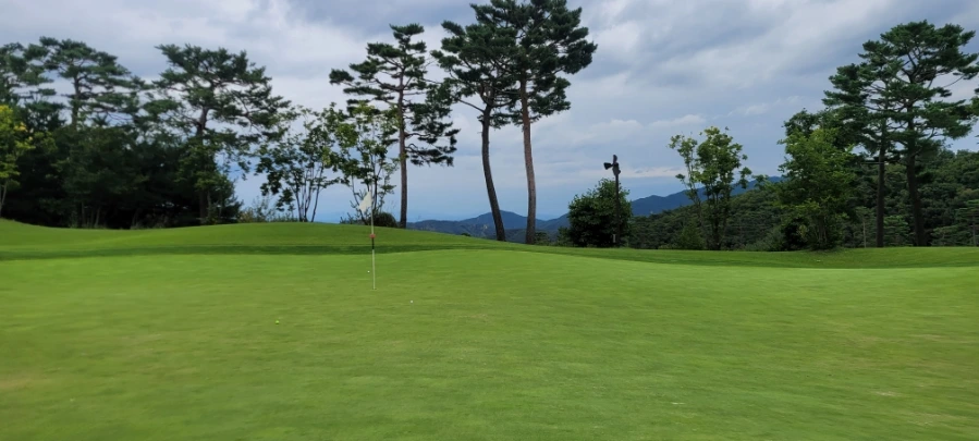 20241003%EF%BC%BF143343.jpg?type=w966