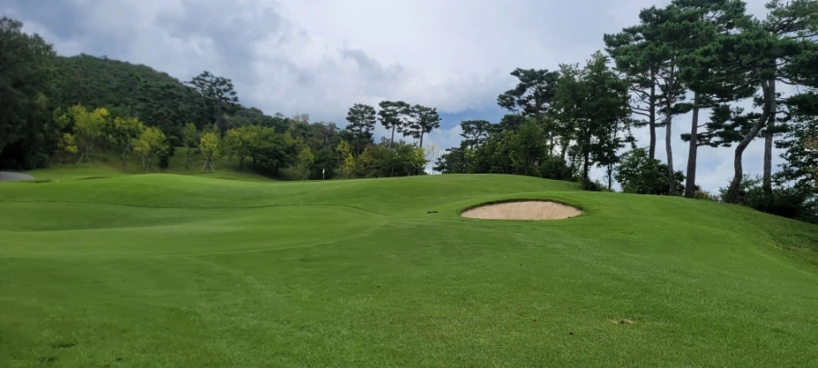 20241003%EF%BC%BF143254.jpg?type=w966