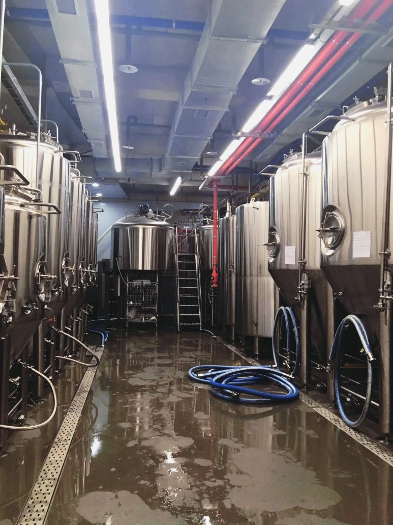 SE-539bfb36-8cae-4f11-baea-abcba877ad99.jpg?type=w773