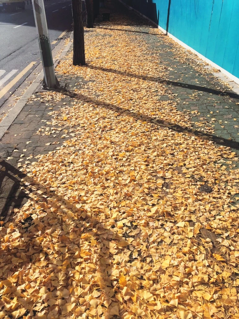 SE-b7f87a97-8f38-4a19-ad70-402bbf525f34.jpg?type=w773