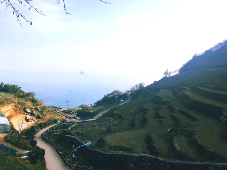 SE-2d9603fd-cec1-41a4-985b-c4056387744f.jpg?type=w773