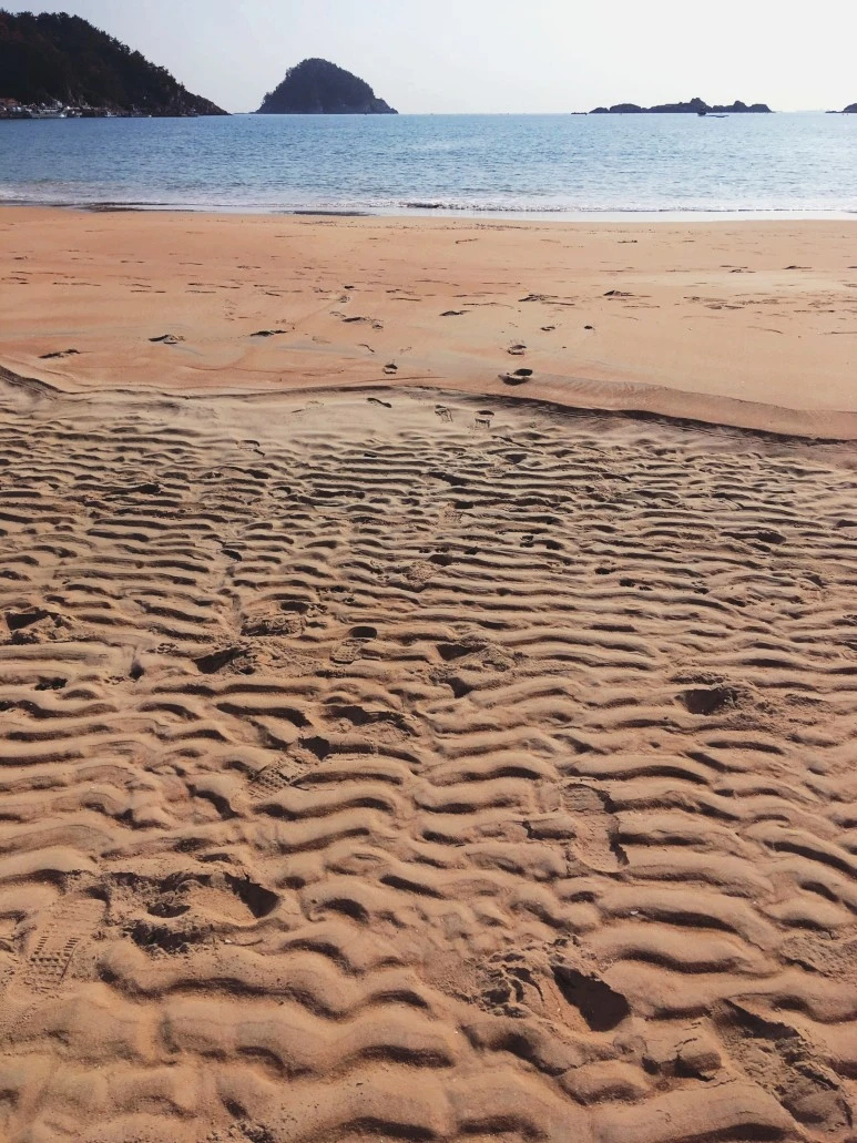 SE-ef9a1f77-511a-4cb4-806d-ea44f21bb6d8.jpg?type=w773