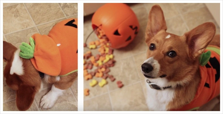 27479A4356FE2B112C511A