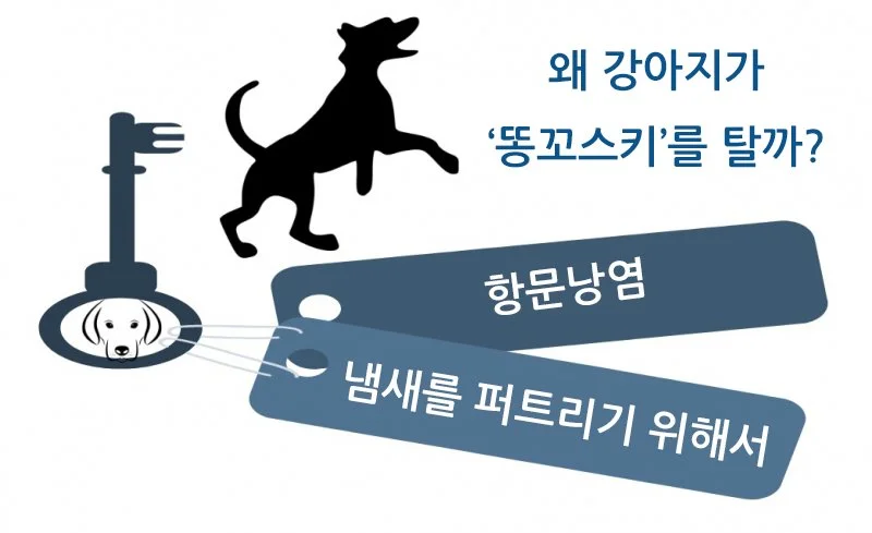 KakaoTalk_20170905_162549416.jpg?type=w1200