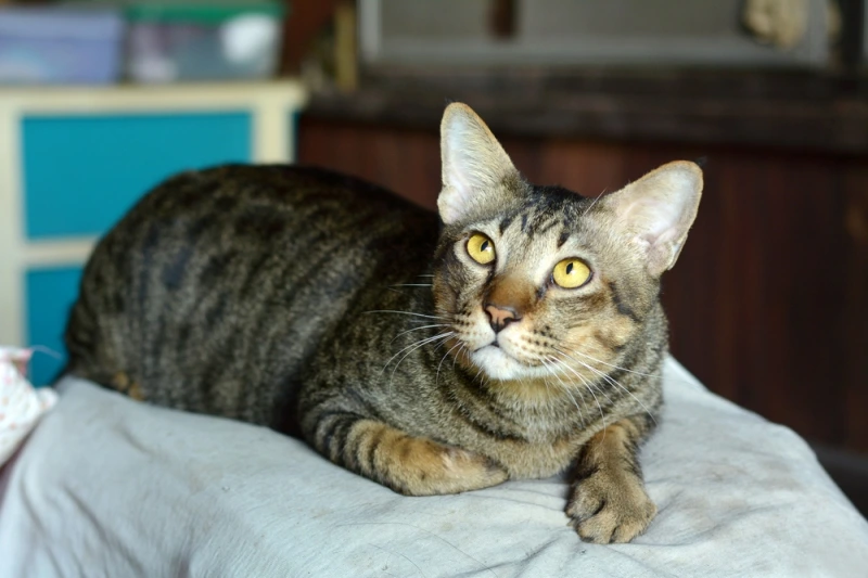 1xbdqx9k08Q94kt4578oGBsP1cwveQsIQl3MK3NNOwHrdr6dBu0MjC21-zx6YRC8XdZj4OkgdfL4i5iS1TPSEoPGe9khkbHjt0i2qQv5D7o7eW-g8m7nEkcN8ENSPGnspWuLK1xt