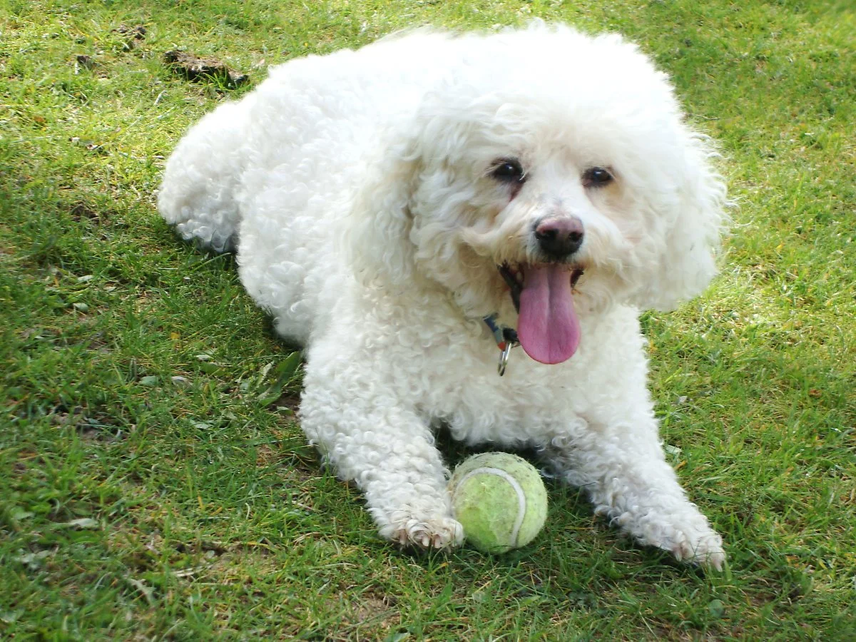 6995973370_bc16522814_k.jpg?type=w1200