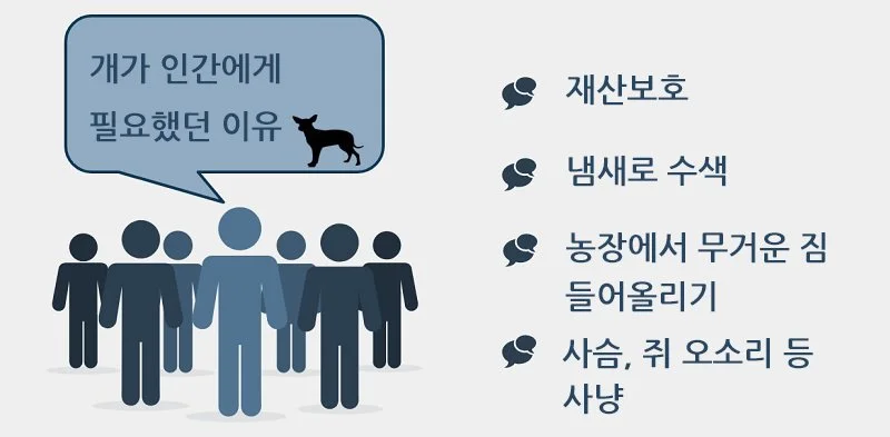 KakaoTalk_20170904_143143819.jpg?type=w1200