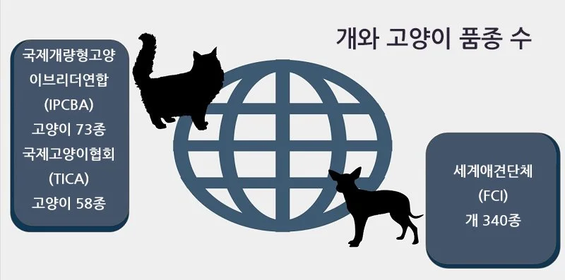 KakaoTalk_20170904_143140108.jpg?type=w1200