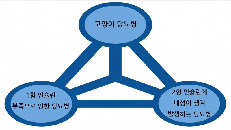 KakaoTalk_20170905_163714923.jpg?type=w1200