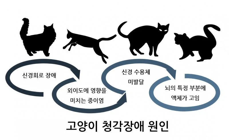 KakaoTalk_20170905_143208228.jpg?type=w1200