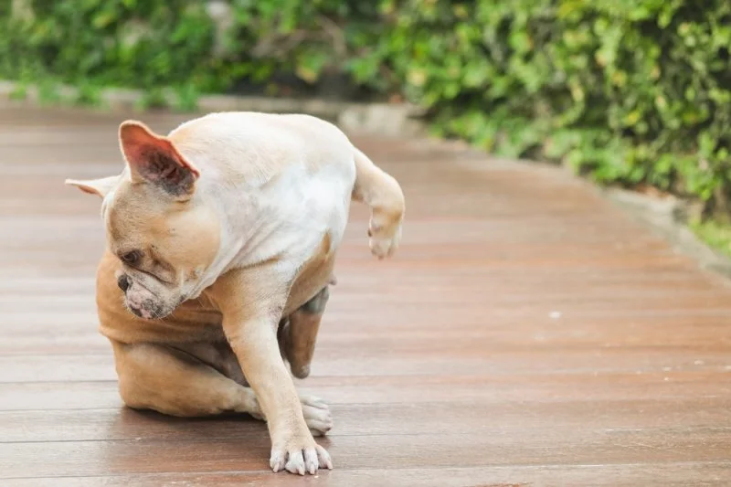 20170904143254108.jpg?type=w1200