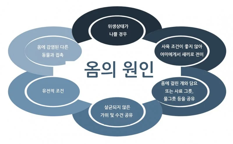 KakaoTalk_20170905_171424472.jpg?type=w1200