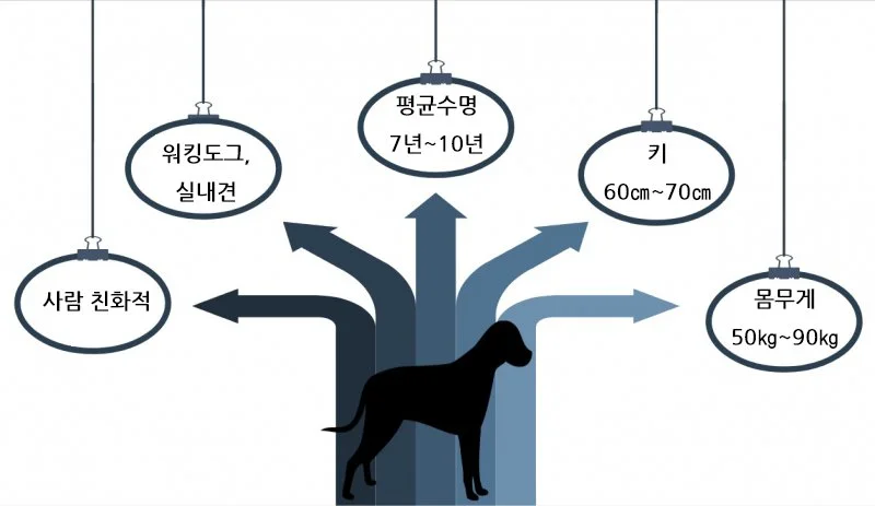 KakaoTalk_20170901_151912996.jpg?type=w1200