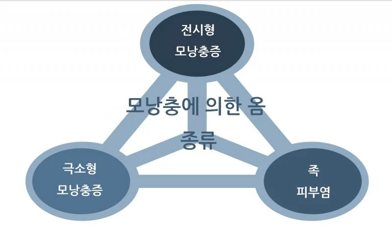 KakaoTalk_20170905_171424309.jpg?type=w1200