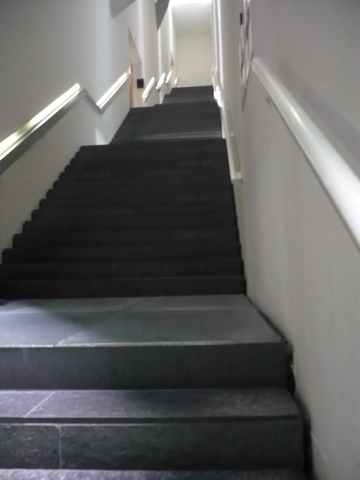 P1040446.JPG?type=w1200