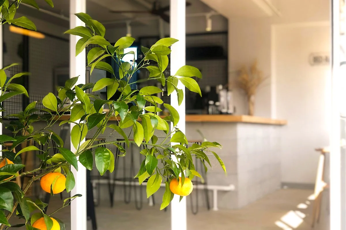 Bed_Radio_Studio_Eccentric_03.jpg?type=w1200