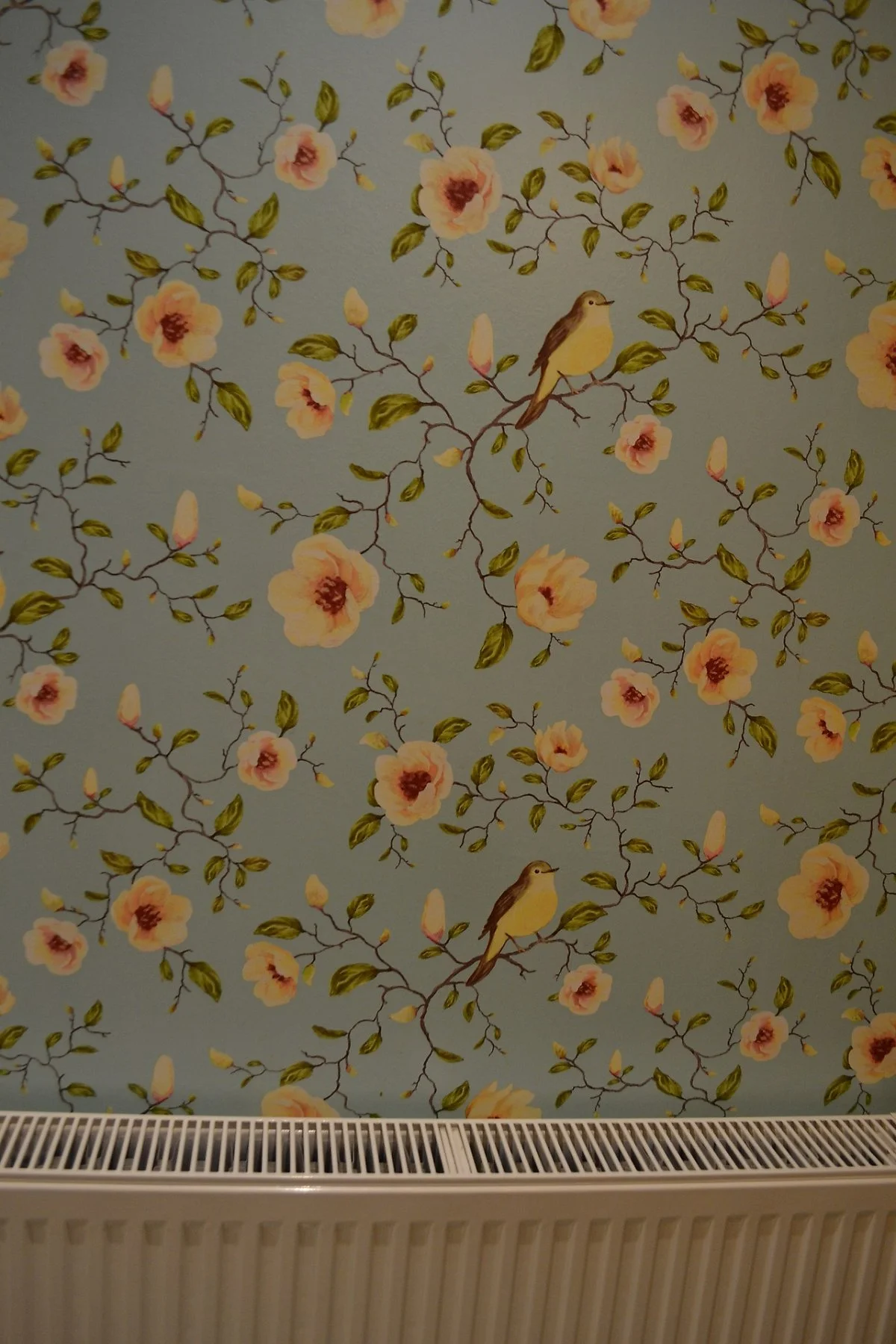 kitchen-2734360_1920.jpg?type=w1200