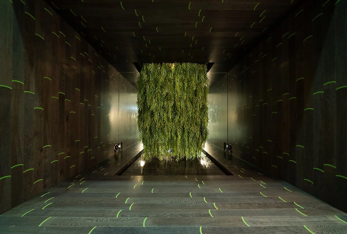 IB_09503.JPG?type=w1200