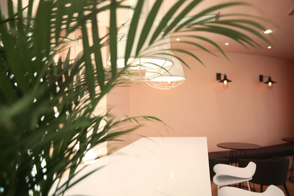 201710238120a0a4efe38d05797a1f79eb250d23.jpg?type=w966