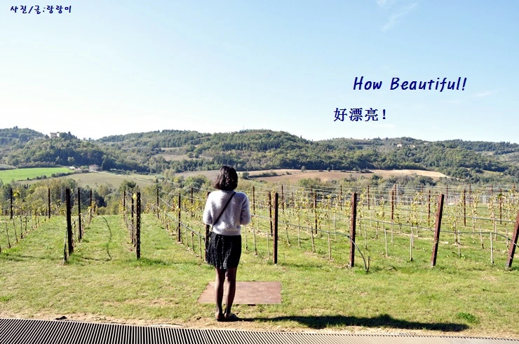 DSC_0647.JPG?type=w2