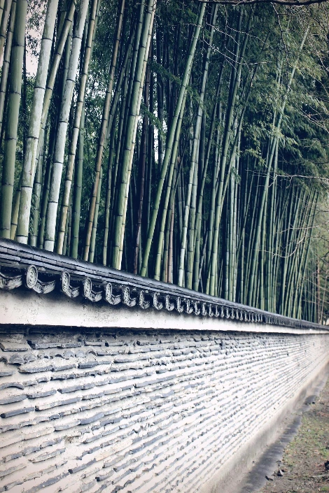 교토_다이토쿠지_불교 선종 사찰1.JPG