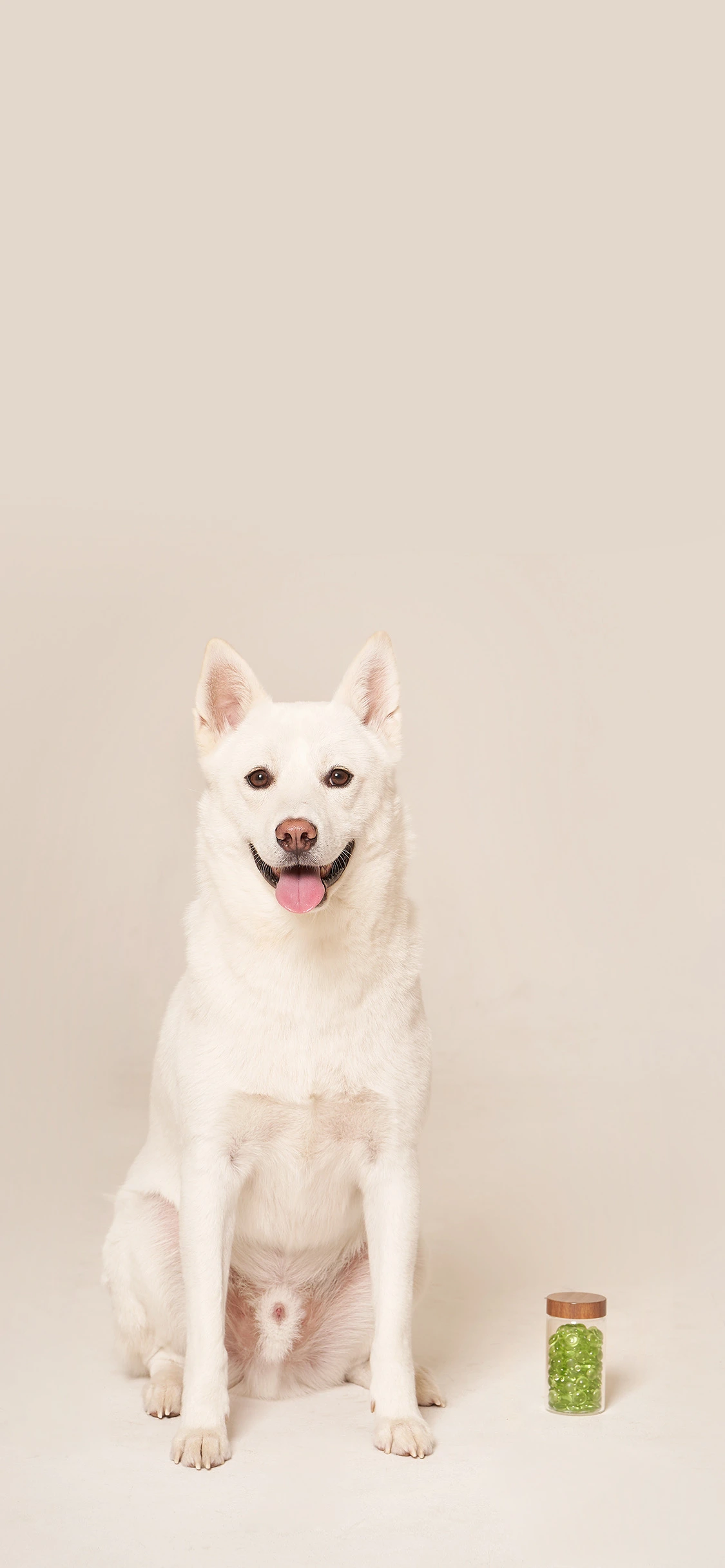 리버 연두 배경화면(서비스).jpeg