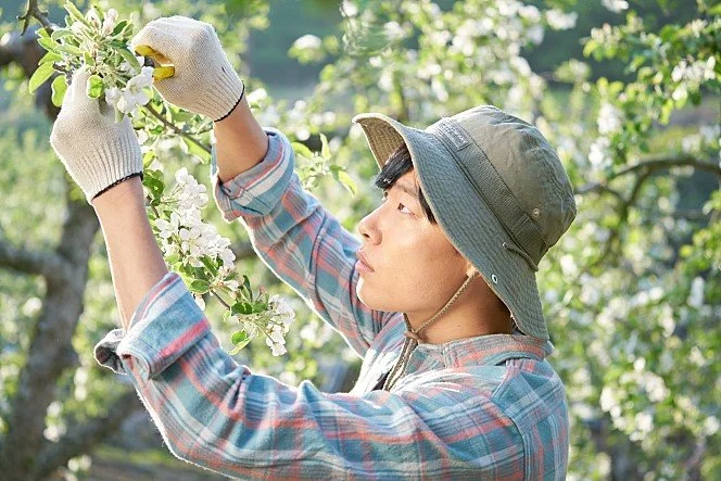 movie_image_%2813%29.jpg?type=w1200