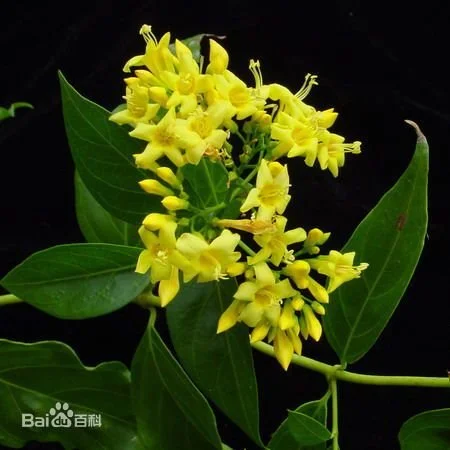 8644ebf81a4c510fb7d9086c6059252dd42aa5a3.jpg?type=w1200