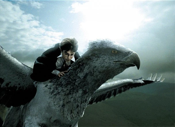 mug_obj_201412111450121143.jpg?type=w1080