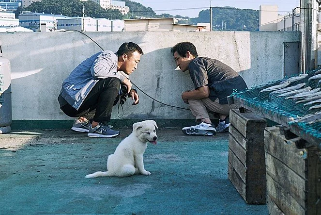 movie_image_%285%29.jpg?type=w1200