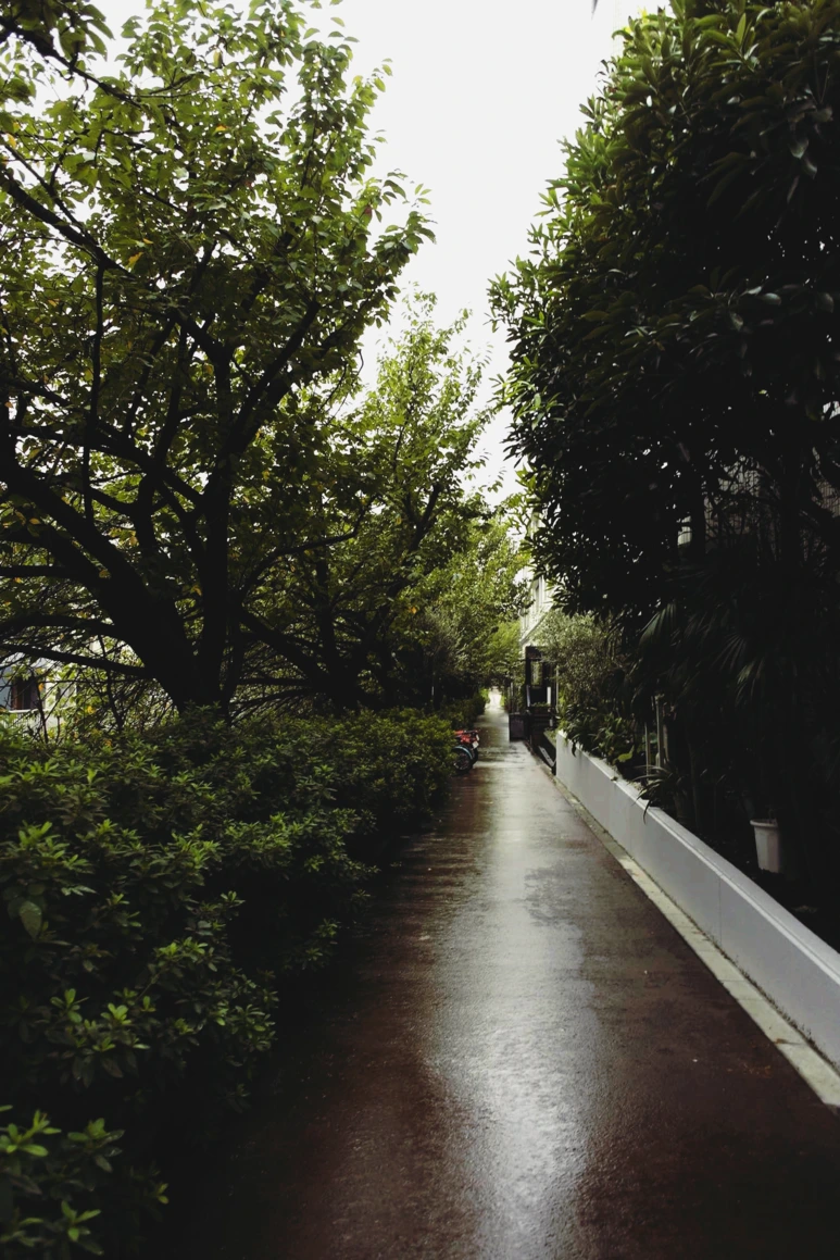 image_8516574681537712547573.png?type=w773