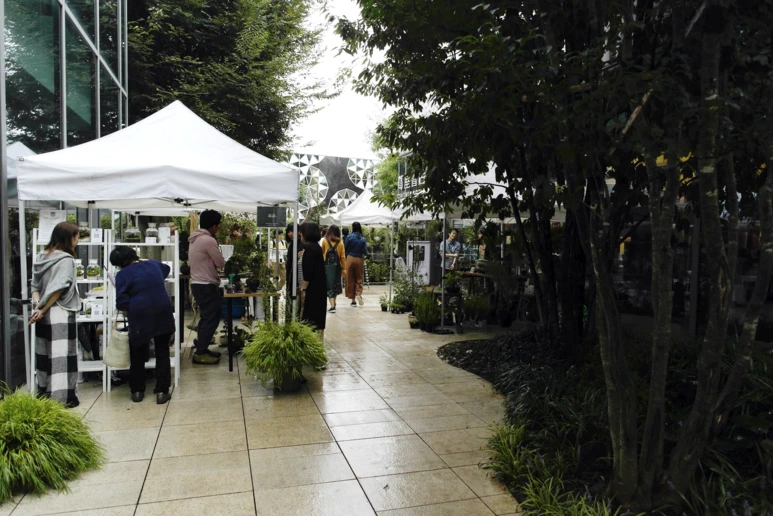 image_1548661041537712547580.png?type=w773