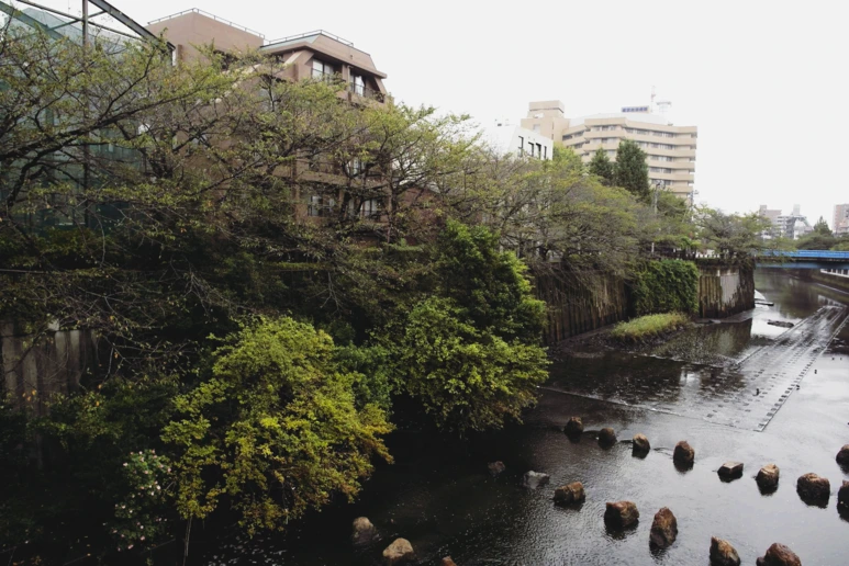 image_2898745601537712547574.png?type=w773