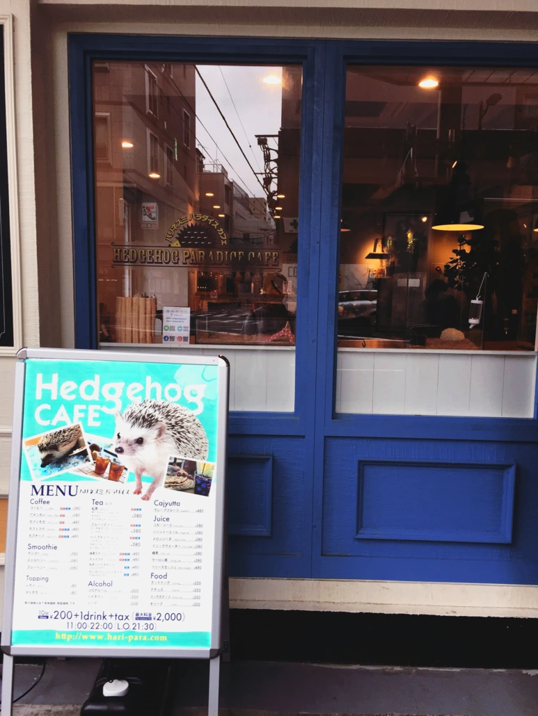 image_7849419791538053482966.png?type=w773