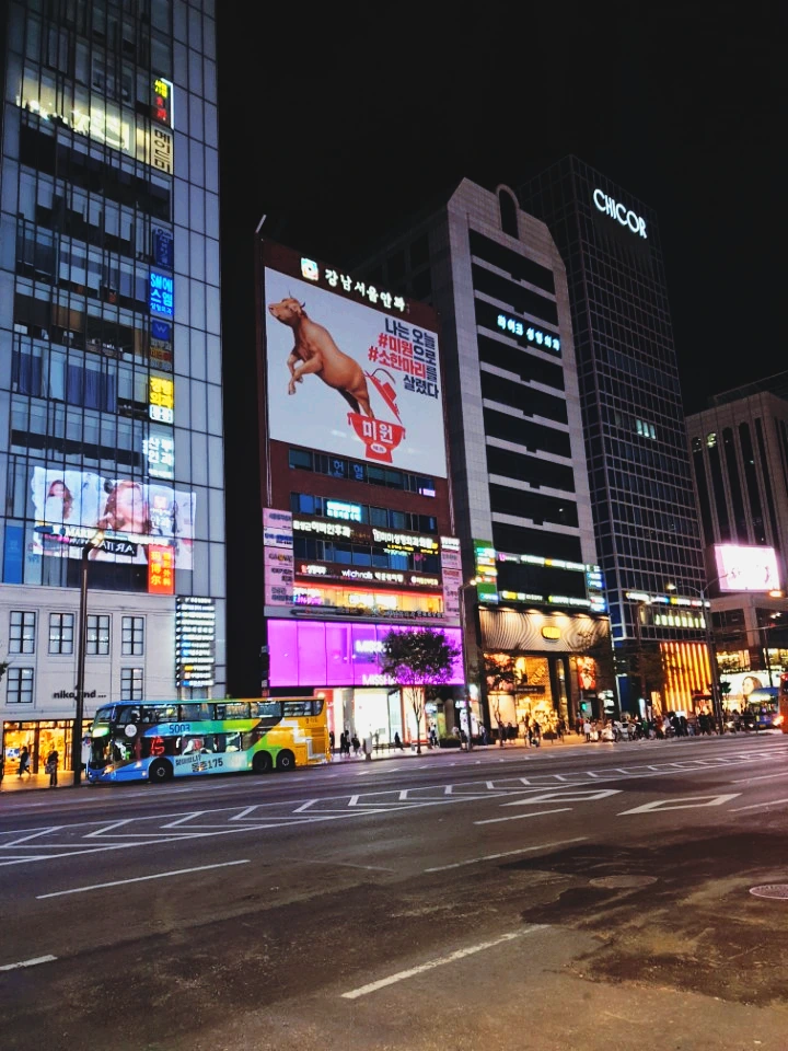 image_3244571538657262711.png?type=w773