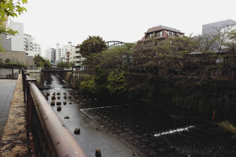 image_7989812691537712547574.png?type=w773