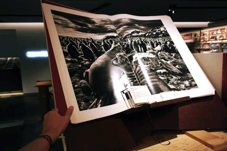 image_3230403841537541154173.png?type=w773