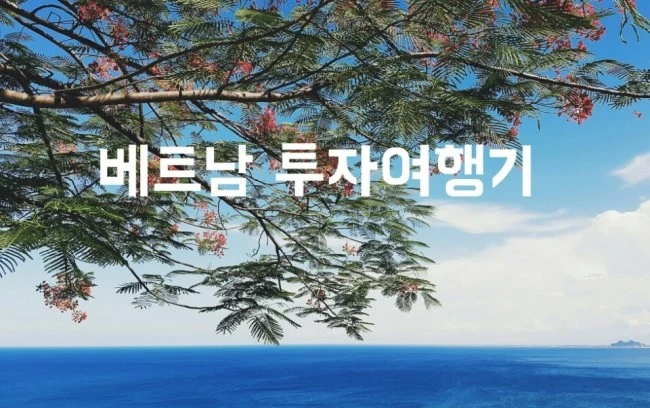 KakaoTalk_20160809_225310424.jpg?type=w2