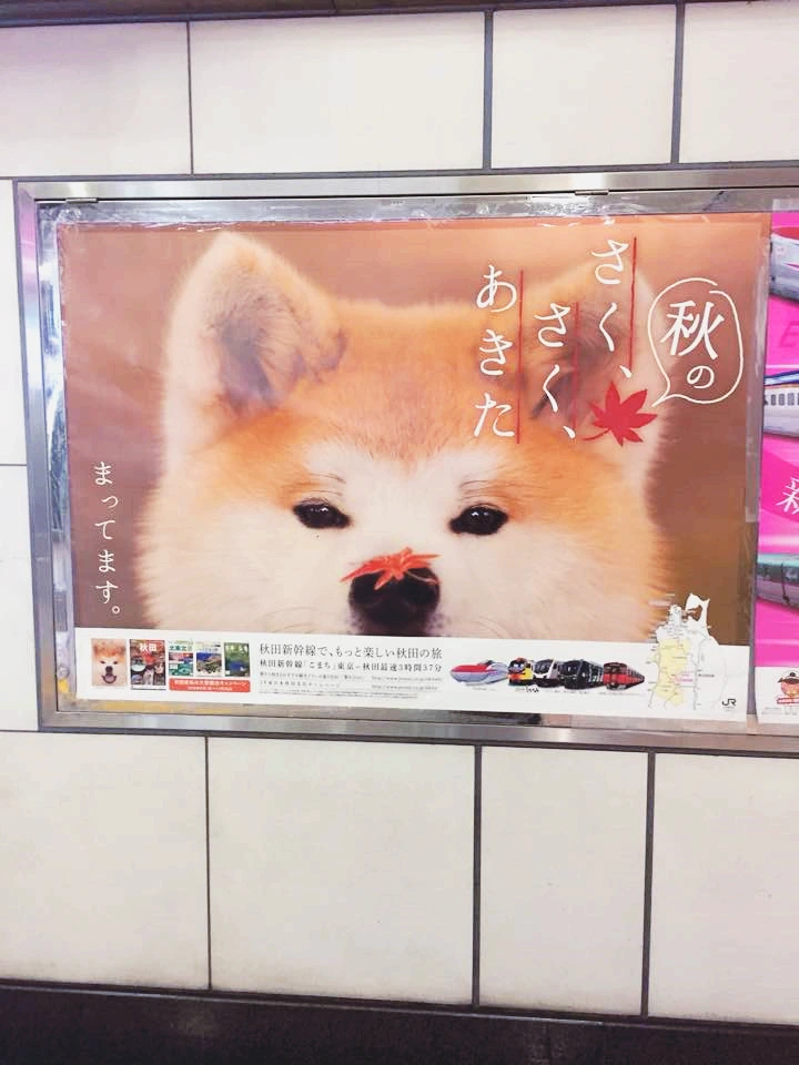 image_6921337731537539639247.png?type=w773