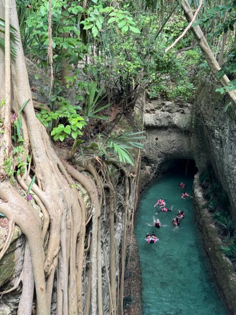 IMG_7701-Large-1.jpeg?resize=768%2C1024&ssl=1