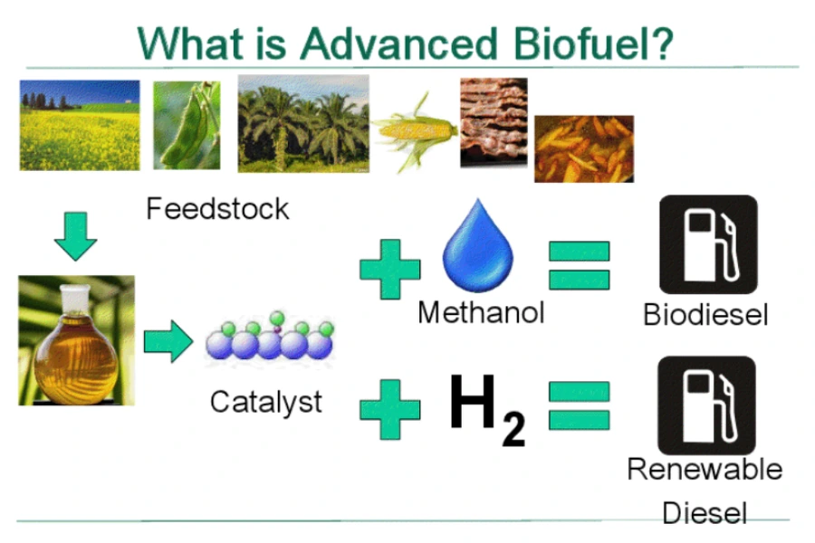 99D95C3F5C957336225640