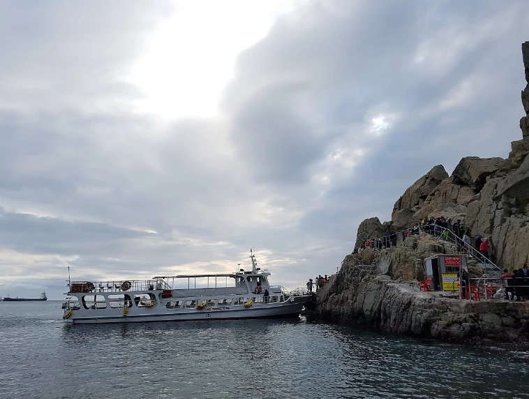 9954D4335A0503B825E34A