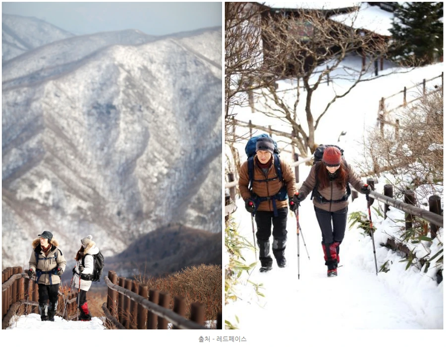 990FD83D5A52FCD2375E30