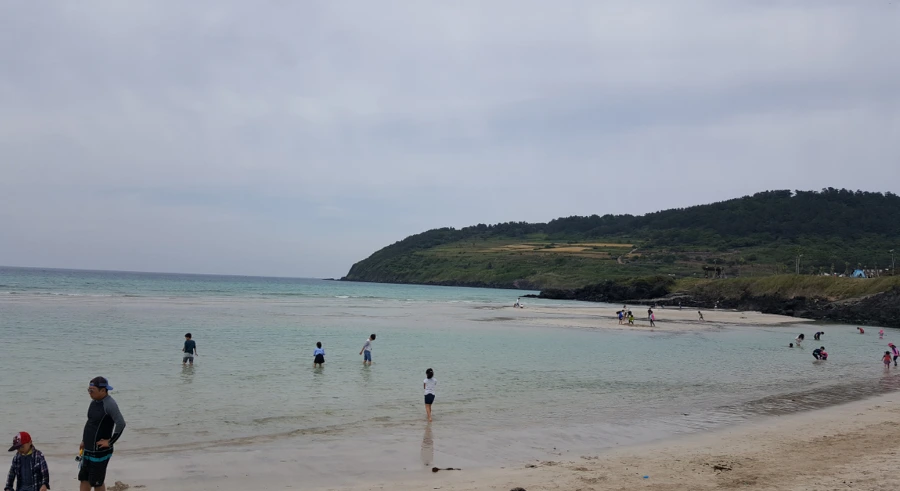 992C563A5AF754BF428556